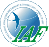 www.iaf-world.org - IAF