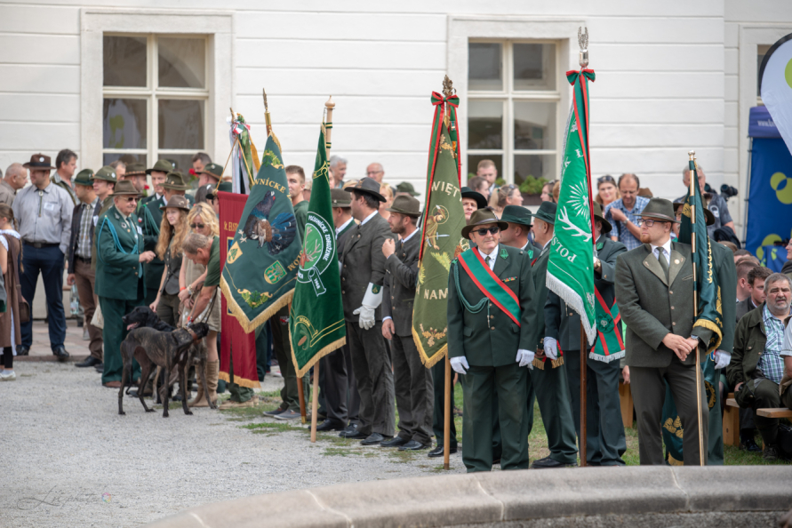 DSC 7195 zmensena