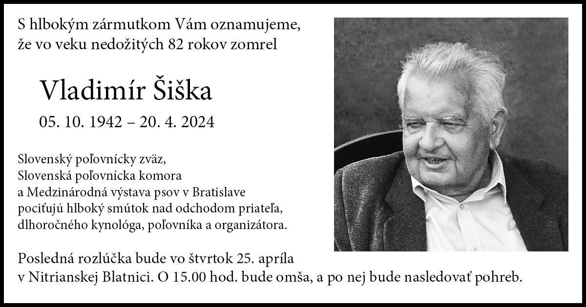 vlado siska web fb