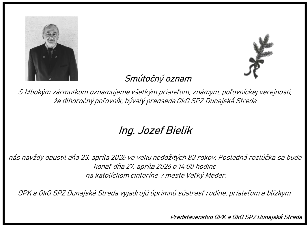 Snímka obrazovky 2026 04 24 150649